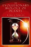 bokomslag Evolutionary Biology of Plants