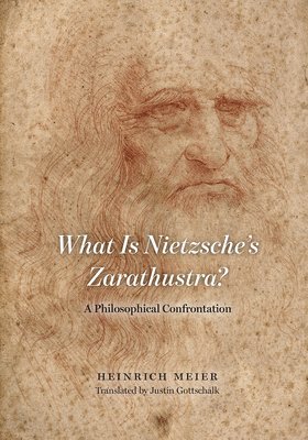 bokomslag What is Nietzsche`s Zarathustra? - A Philosophical Confrontation