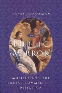bokomslag The Public Mirror