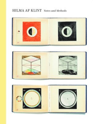 Hilma af Klint, Christine Burgin - Hilma af Klint, Inbunden
