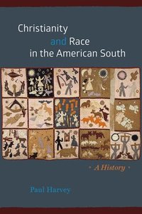 bokomslag Christianity and Race in the American South