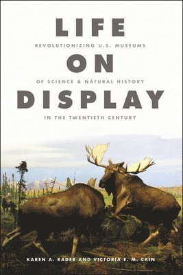 Karen A. Rader, Victoria E. M. Cain, Karen a. Rader - Life on Display, Häftad