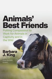bokomslag Animals' Best Friends