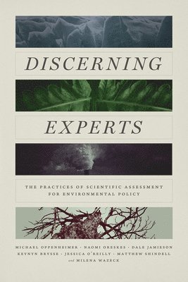 Discerning Experts 1