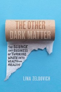 bokomslag The Other Dark Matter