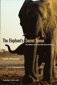 bokomslag Elephant`s Secret Sense - The Hidden Life of the Wild Herds of Africa