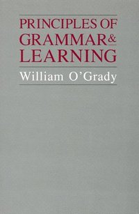 bokomslag Principles of Grammar and Learning