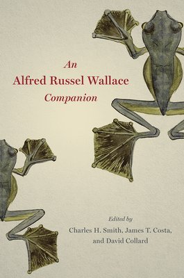bokomslag An Alfred Russel Wallace Companion