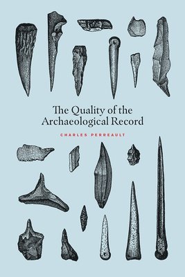 bokomslag Quality of the Archaeological Record