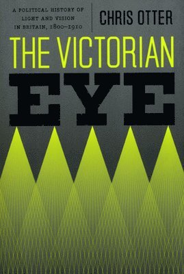 bokomslag Victorian Eye