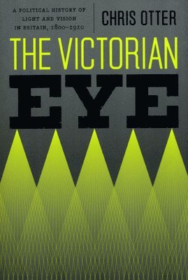 bokomslag Victorian Eye