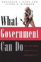 What Government Can Do 1