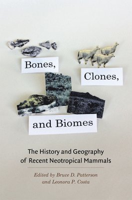 Bruce D. Patterson, Leonora P. Costa, Bruce D Patterson, Leonora P Costa - Bones, Clones, and Biomes, Inbunden