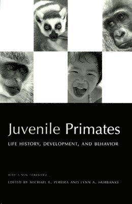 Juvenile Primates 1