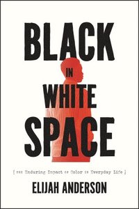 bokomslag Black in White Space