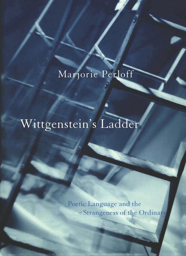 Wittgenstein's Ladder 1