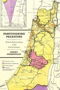 bokomslag Partitioning Palestine