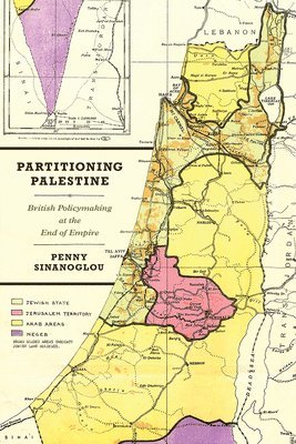 bokomslag Partitioning Palestine