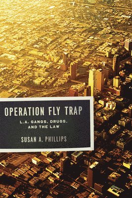 Operation Fly Trap 1