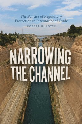 bokomslag Narrowing the Channel