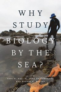 bokomslag Why Study Biology by the Sea?