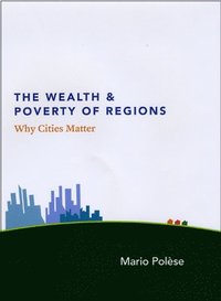 bokomslag The Wealth and Poverty of Regions  Why Cities Matter