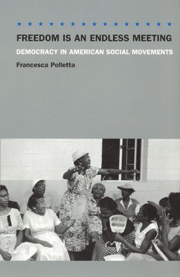 bokomslag Freedom Is an Endless Meeting - Democracy in American Social Movements