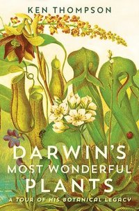 bokomslag Darwin's Most Wonderful Plants: A Tour of His Botanical Legacy