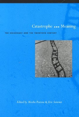 Catastrophe and Meaning 1