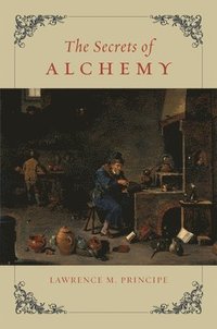 bokomslag The Secrets of Alchemy