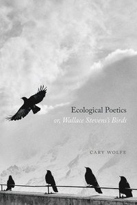 bokomslag Ecological Poetics; Or, Wallace Stevens's Birds