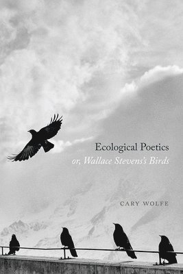 Cary Wolfe - Ecological Poetics; Or, Wallace Stevens's Birds, Inbunden