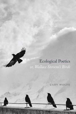 Cary Wolfe - Ecological Poetics; Or, Wallace Stevens's Birds, Häftad