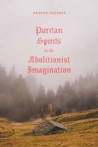 bokomslag Puritan Spirits in the Abolitionist Imagination
