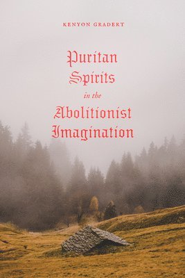 bokomslag Puritan Spirits in the Abolitionist Imagination