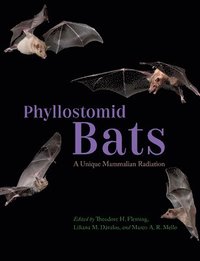 bokomslag Phyllostomid Bats