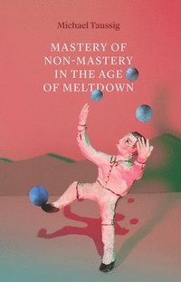 bokomslag Mastery of NonMastery in the Age of Meltdown