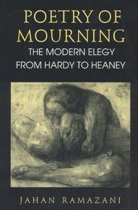 bokomslag Poetry of Mourning  The Modern Elegy from Hardy to Heaney