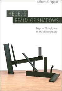 bokomslag Hegel's Realm of Shadows