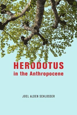 Joel Alden Schlosser - Herodotus in the Anthropocene, Häftad