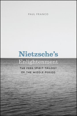 bokomslag Nietzsche's Enlightenment