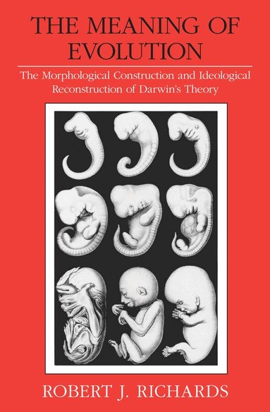 Robert J. Richards - Meaning of Evolution, Häftad