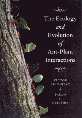 bokomslag The Ecology and Evolution of Ant-Plant Interactions