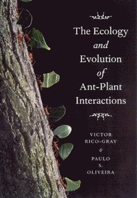 bokomslag The Ecology and Evolution of Ant-Plant Interactions