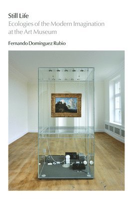 Fernando Dominguez Rubio - Still Life, Häftad