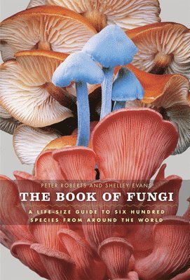 bokomslag The Book of Fungi: A Life-Size Guide to Six Hundred Species from Around the World