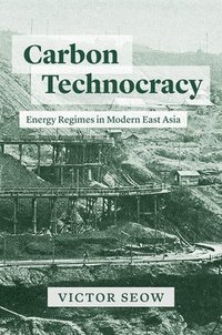 bokomslag Carbon Technocracy