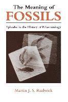 The Meaning of Fossils 1