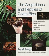 bokomslag The Amphibians and Reptiles of Costa Rica