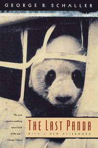 bokomslag The Last Panda